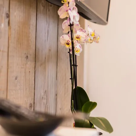 منزل للإقامة Hus Mattgoot - Private Einzelzimmer Im Dg Und 1 Og *